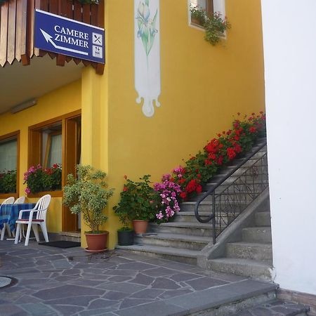 Albergo Ristorante Iris アウロンツォ・ディ・カドーレ エクステリア 写真